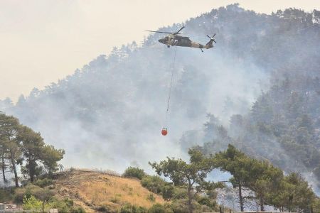 08.07.2025 Waldbrände in Lattakia 2