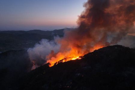 08.07.2025 Waldbrand Lattakia